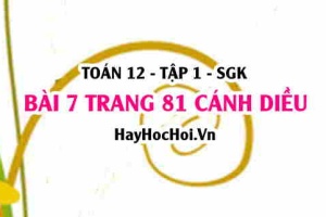 Bài 7 trang 81 Toán 12 tập 1 Cánh Diều